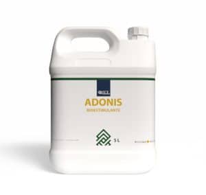 Adonis