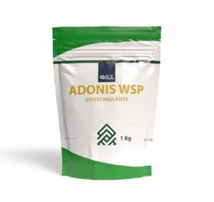 Adonis WSP