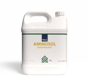 Aminosol