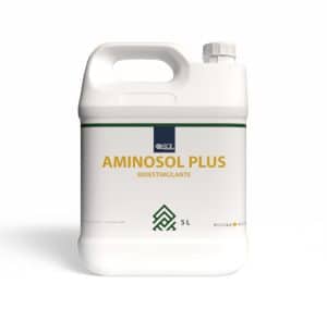Aminosol Plus