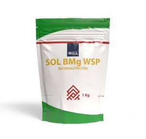 Sol BMg WSP