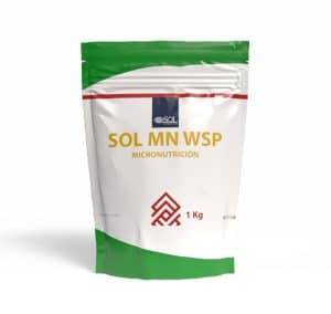 Sol MN WSP